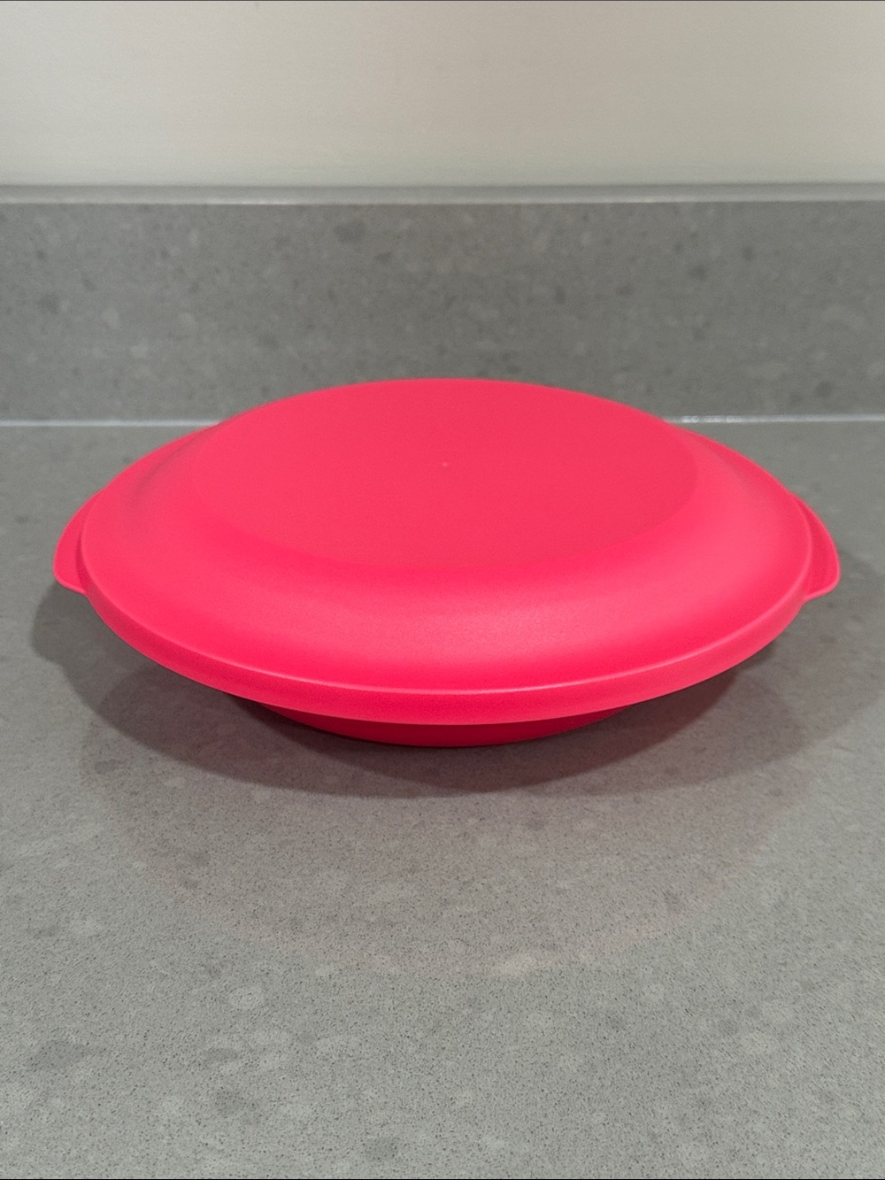 Tupperware Plate Lunch Container